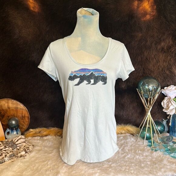 Patagonia t-shirt M (3820) - Picture 1 of 4